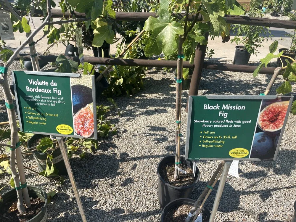 Local lawn mowing service in Long Beach, CA - Armstrong Garden Centers