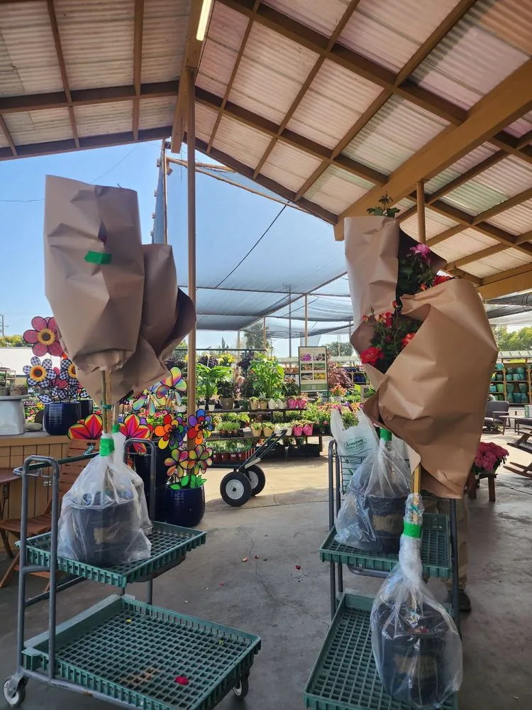 Reliable landscaping services experts serving Long Beach, CA - Armstrong Garden Centers