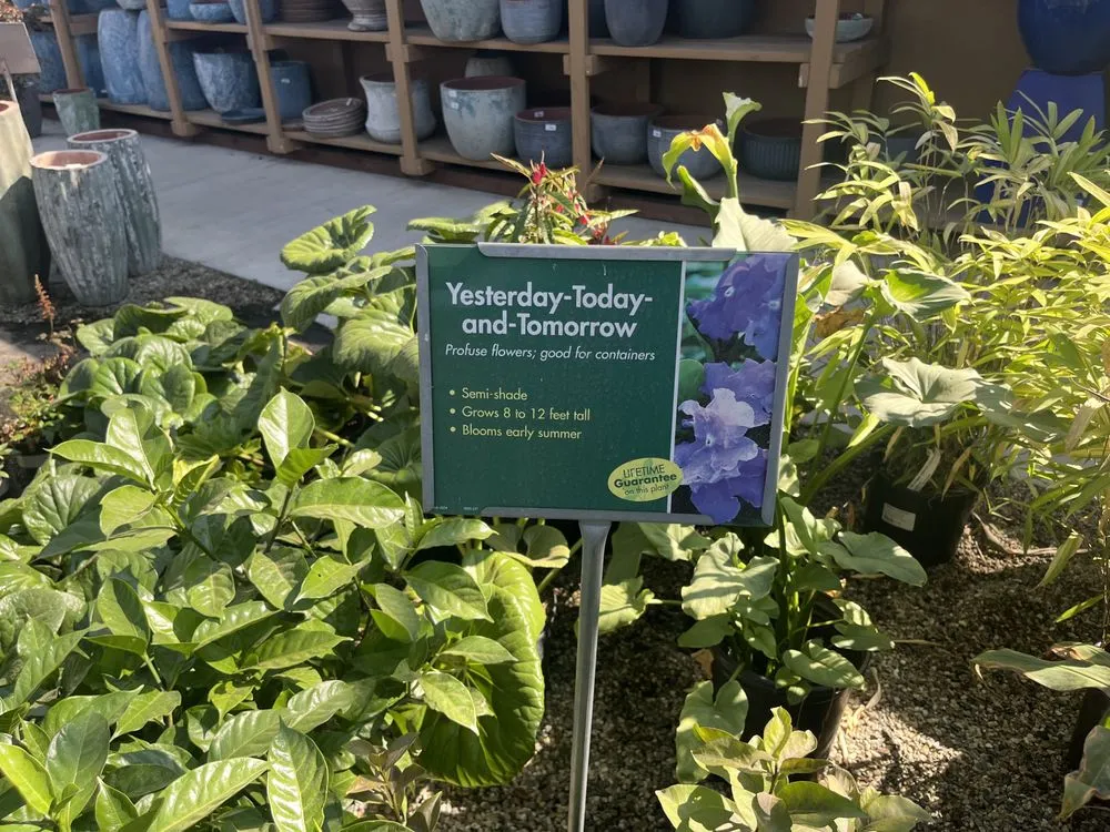 Reliable lawn care service in Long Beach, CA - Armstrong Garden Centers