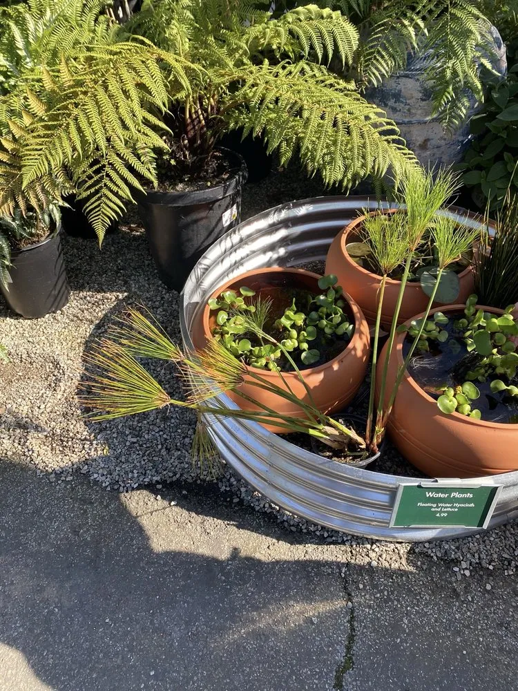 Trusted landscaping services for beautiful yards across Long Beach, CA - Armstrong Garden Centers