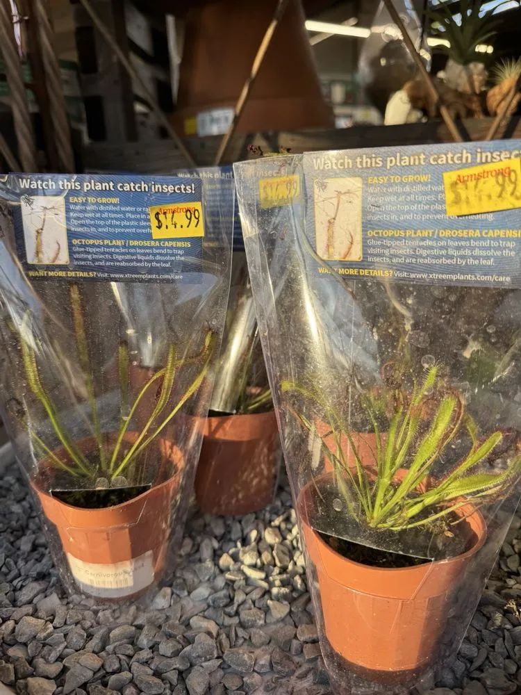 Local landscaping services in Long Beach, CA - Armstrong Garden Centers