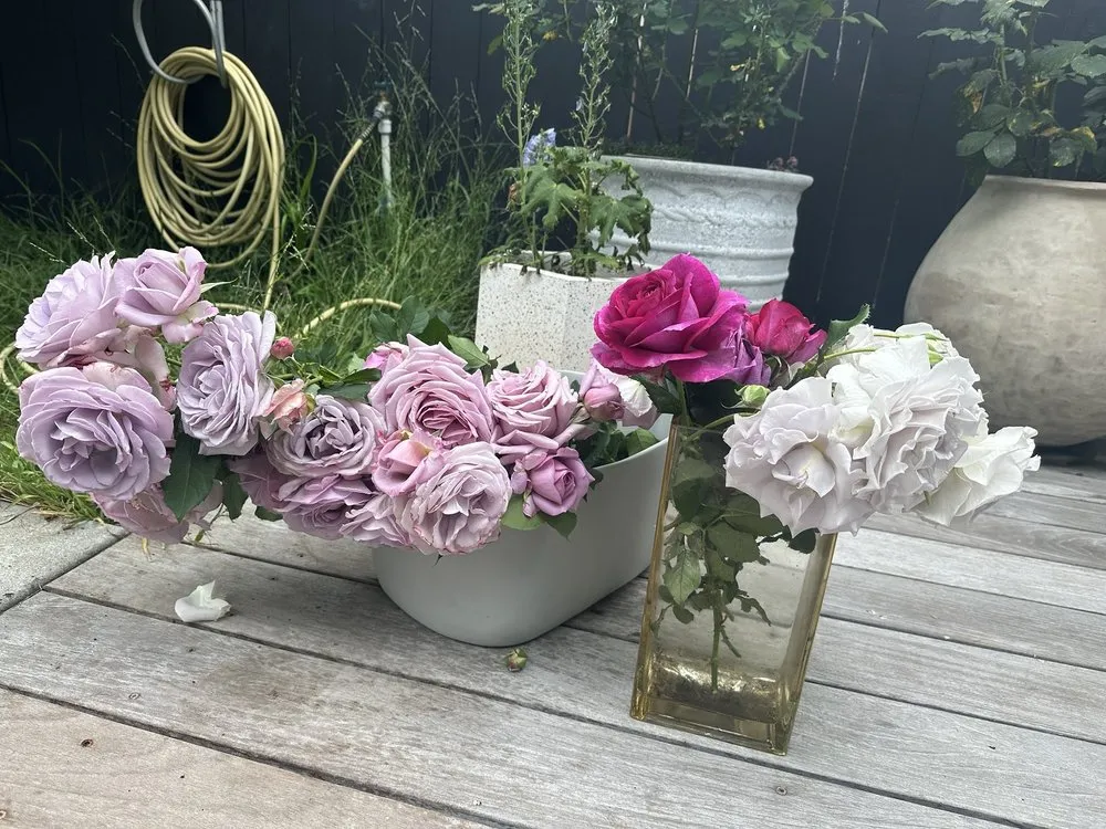 Trusted garden landscaping in Los Angeles, CA by Armstrong Garden Centers