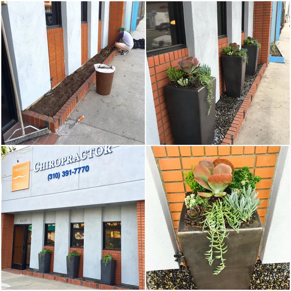 Affordable landscape installation in Los Angeles, CA - Armstrong Garden Centers