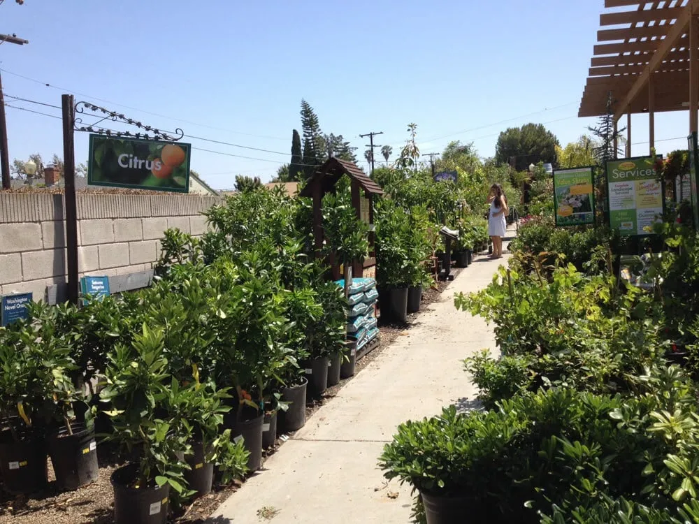 Top-rated residential landscaping in Los Angeles, CA - Armstrong Garden Centers