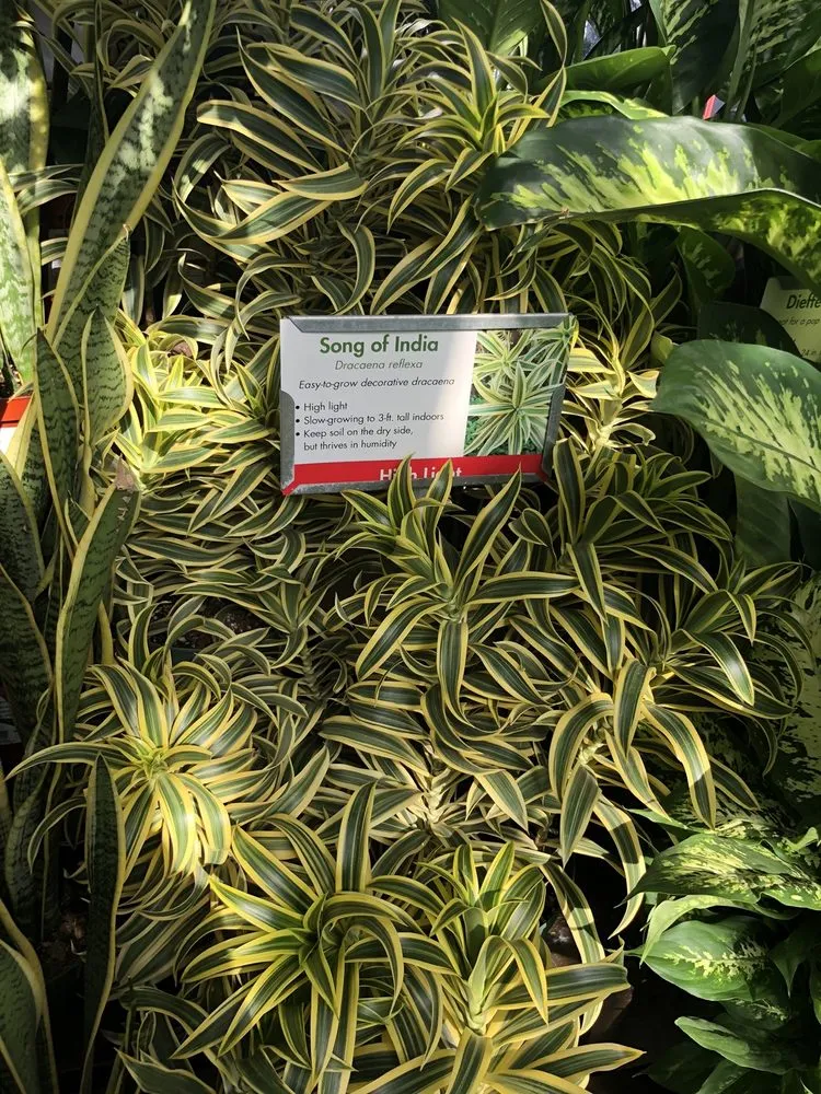 Top-rated lawn mowing service in Los Angeles, CA by Armstrong Garden Centers