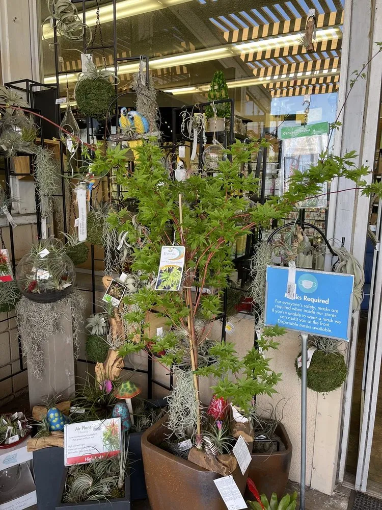 Custom landscaping services for outdoor upgrades across Los Angeles, CA - Armstrong Garden Centers