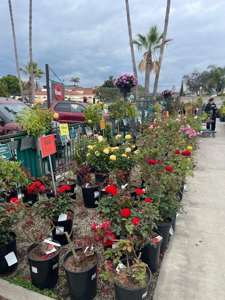 Trusted yard maintenance experts serving Los Angeles, CA - Armstrong Garden Centers