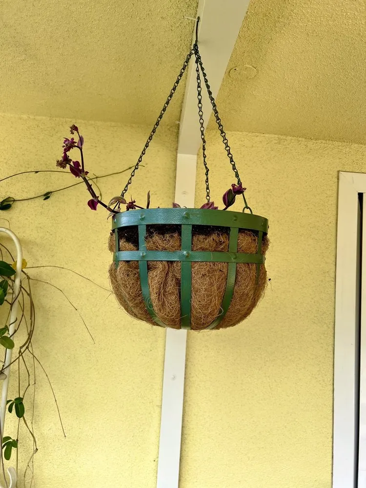 Expert yard maintenance in Monrovia, CA by Armstrong Garden Centers