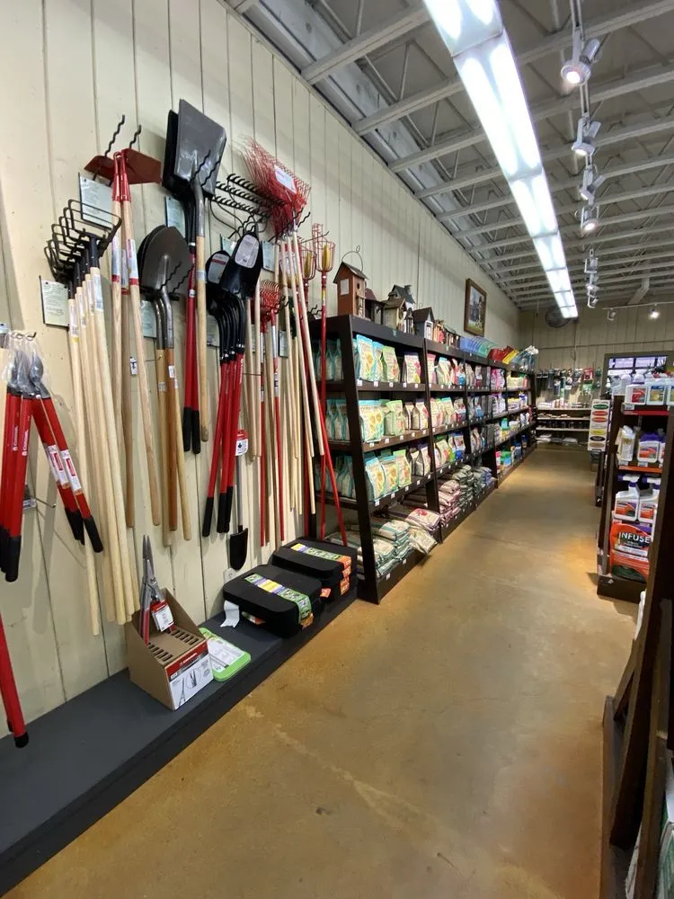 Reliable lawn mowing service for year-round maintenance across Monrovia, CA - Armstrong Garden Centers