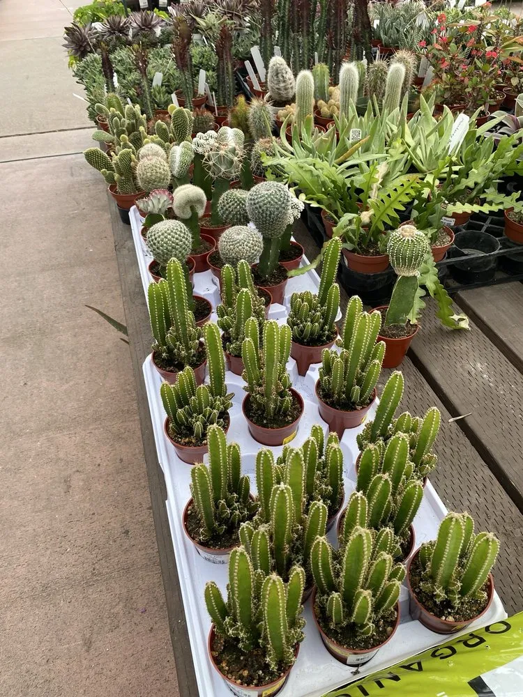 Local landscaping services in Monrovia, CA by Armstrong Garden Centers