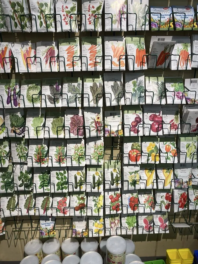 Custom outdoor landscaping for year-round maintenance across Monrovia, CA - Armstrong Garden Centers