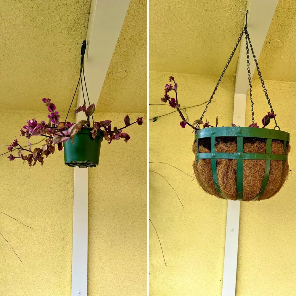 Custom landscape design near you in Monrovia, CA by Armstrong Garden Centers