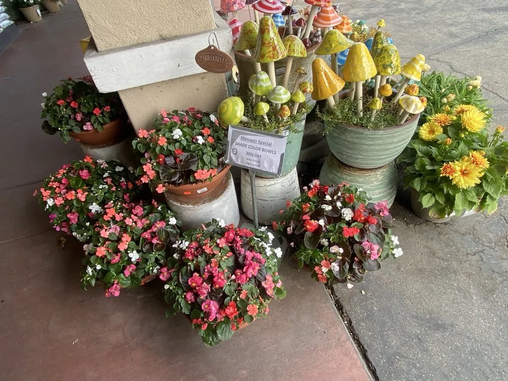 Affordable yard cleanup service for outdoor upgrades in Monrovia, CA by Armstrong Garden Centers