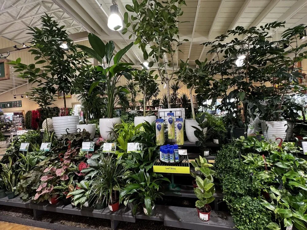 Affordable landscape design in Newport Beach, CA by Armstrong Garden Centers