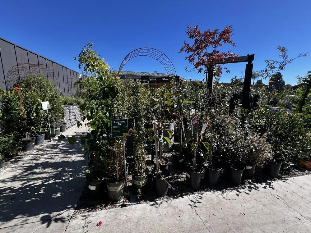 Reliable landscaping services in Newport Beach, CA by Armstrong Garden Centers