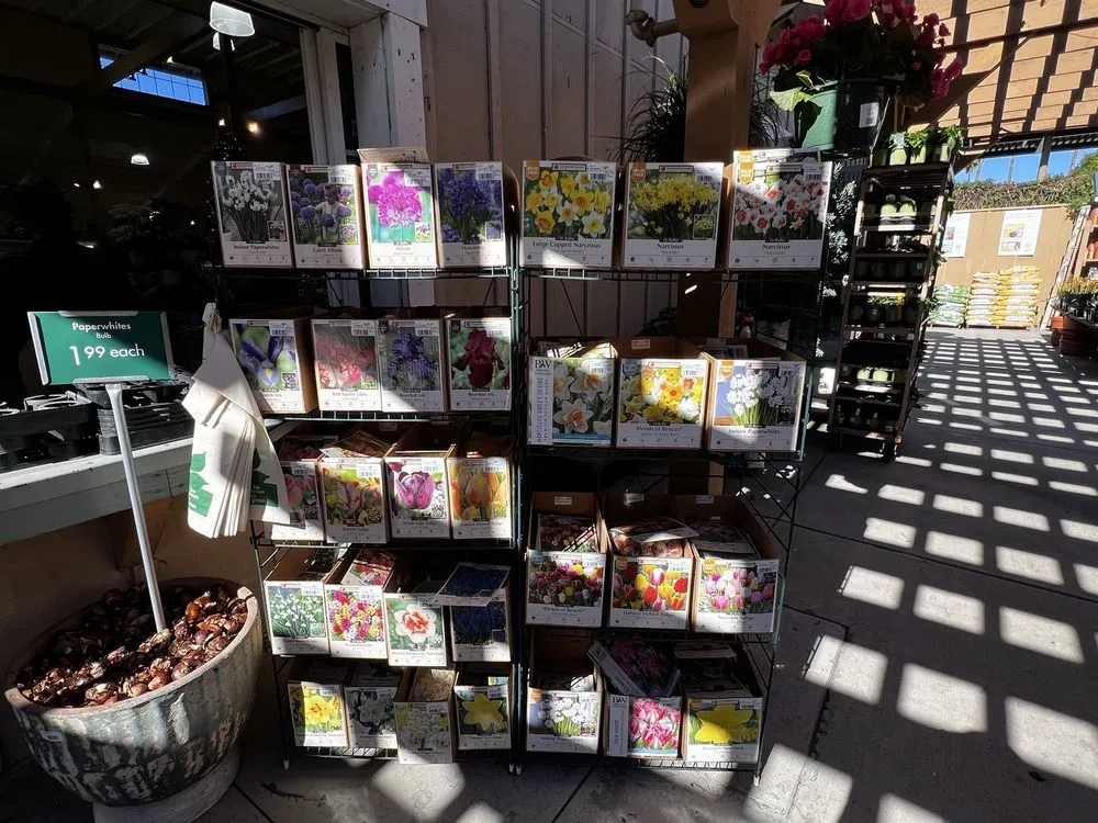 Expert lawn mowing service near you in Newport Beach, CA by Armstrong Garden Centers