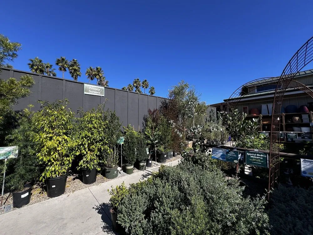 Local landscape installation in Newport Beach, CA - Armstrong Garden Centers