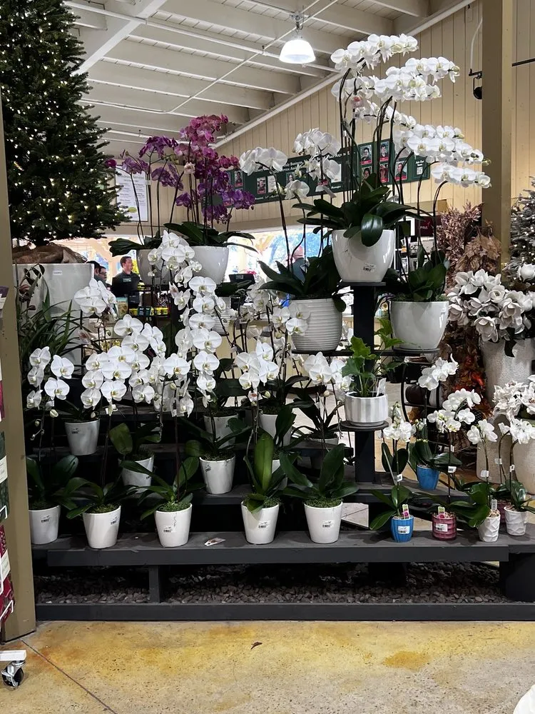 Affordable garden landscaping in Newport Beach, CA by Armstrong Garden Centers