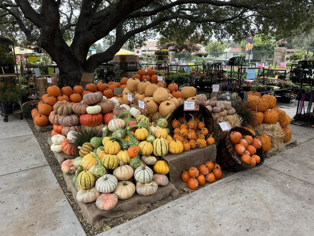 Professional landscape installation for homes across Newport Beach, CA - Armstrong Garden Centers