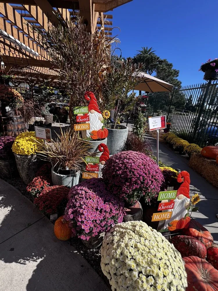 Reliable yard cleanup service in Newport Beach, CA by Armstrong Garden Centers