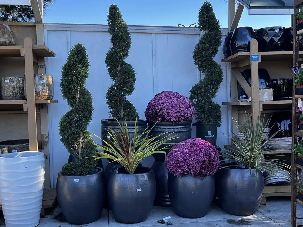 Local landscape installation with custom design in Newport Beach, CA by Armstrong Garden Centers