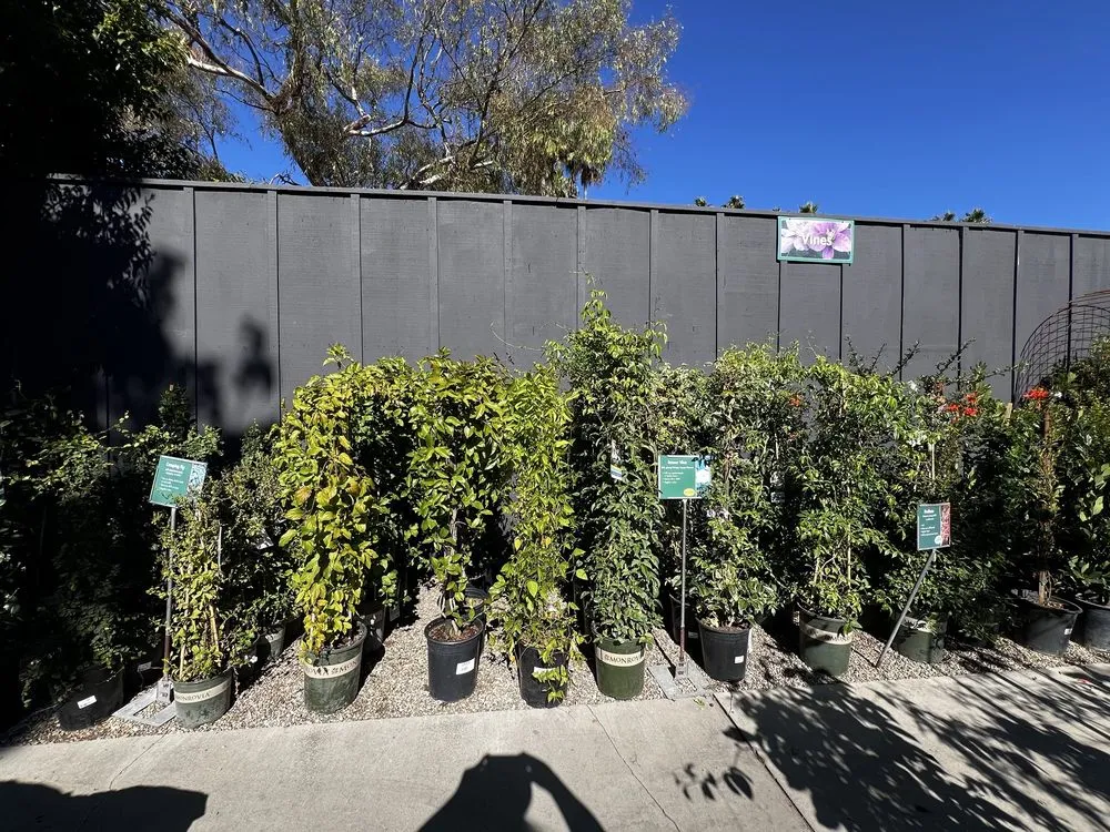 Reliable landscape design in Newport Beach, CA - Armstrong Garden Centers