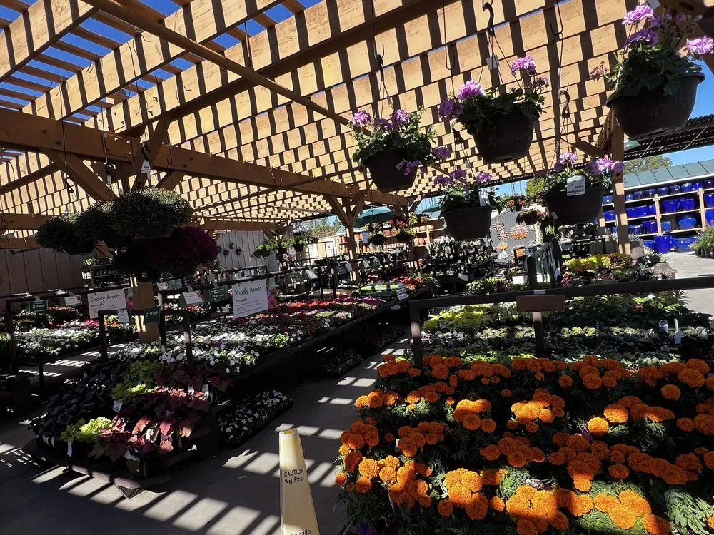 Affordable landscape design in Newport Beach, CA by Armstrong Garden Centers