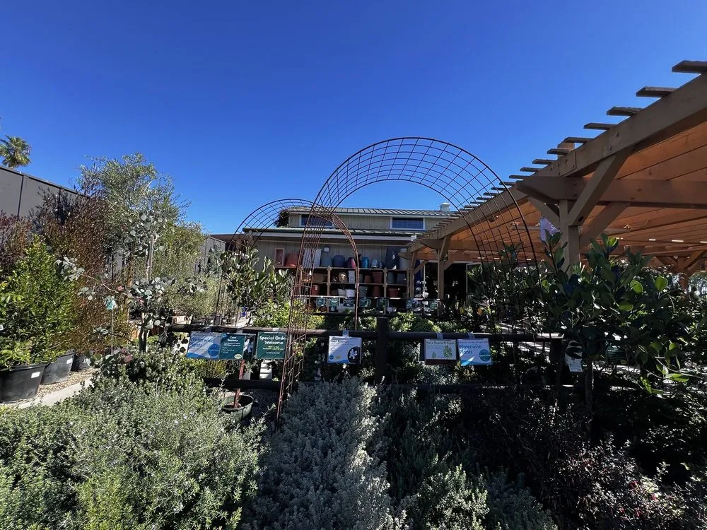 Local landscape design experts serving Newport Beach, CA - Armstrong Garden Centers