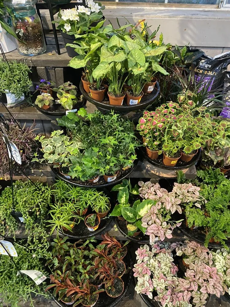 Affordable residential landscaping in Pasadena, CA - Armstrong Garden Centers