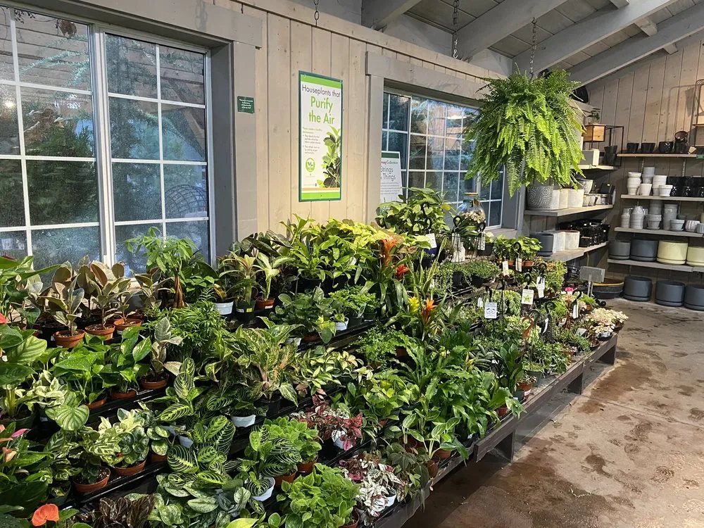 Expert lawn care service in Pasadena, CA - Armstrong Garden Centers