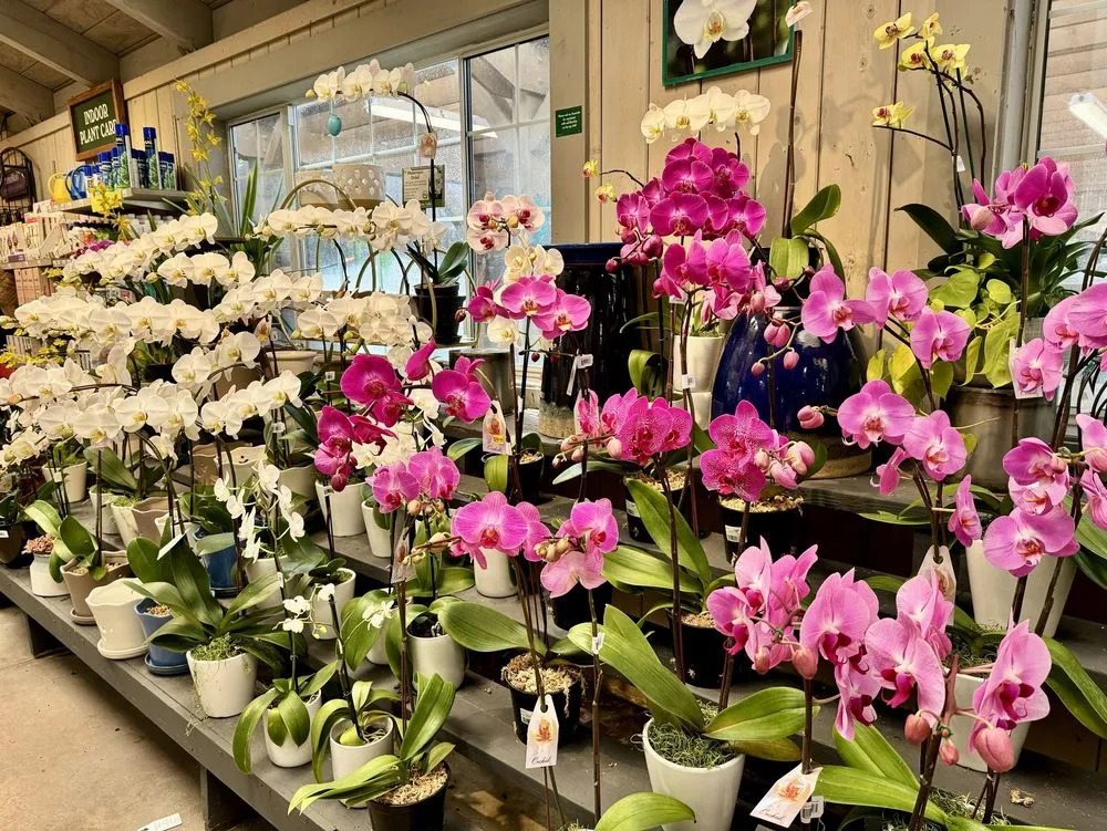 Professional garden landscaping in Pasadena, CA - Armstrong Garden Centers