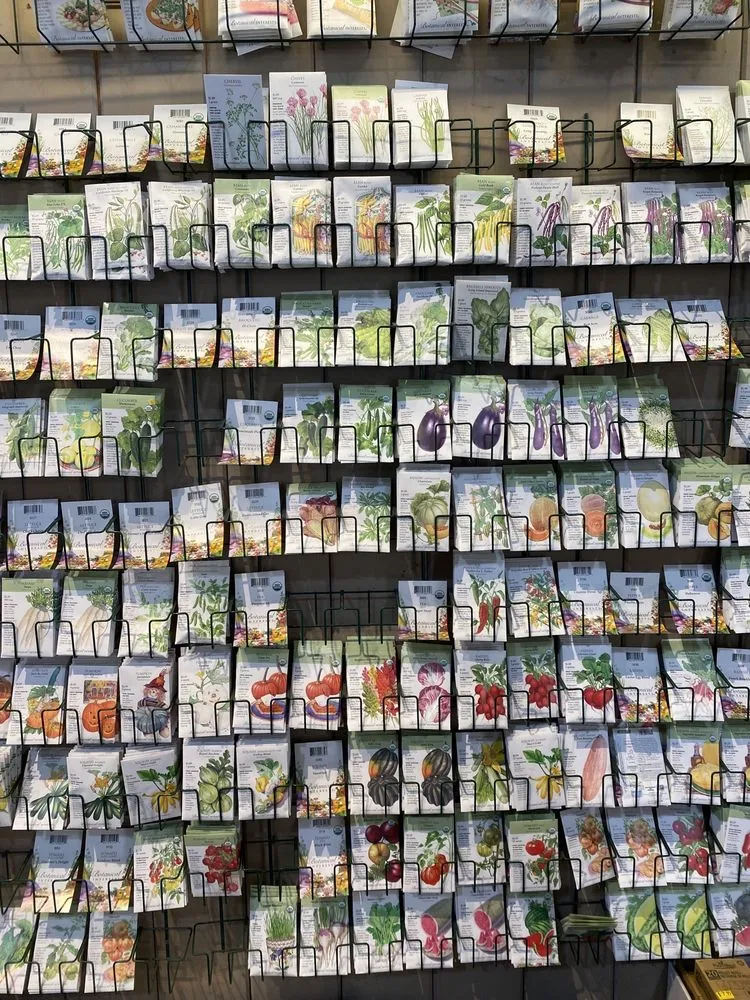 Local outdoor landscaping for year-round maintenance in Pasadena, CA by Armstrong Garden Centers