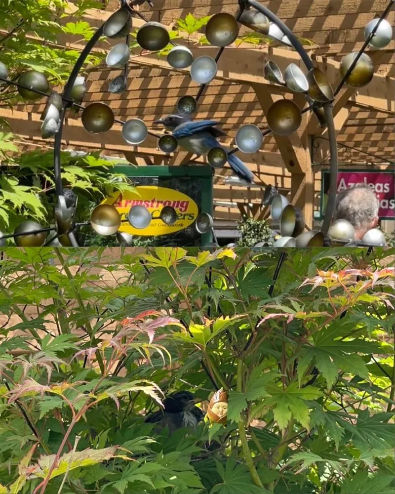 Trusted garden landscaping experts serving Pasadena, CA - Armstrong Garden Centers