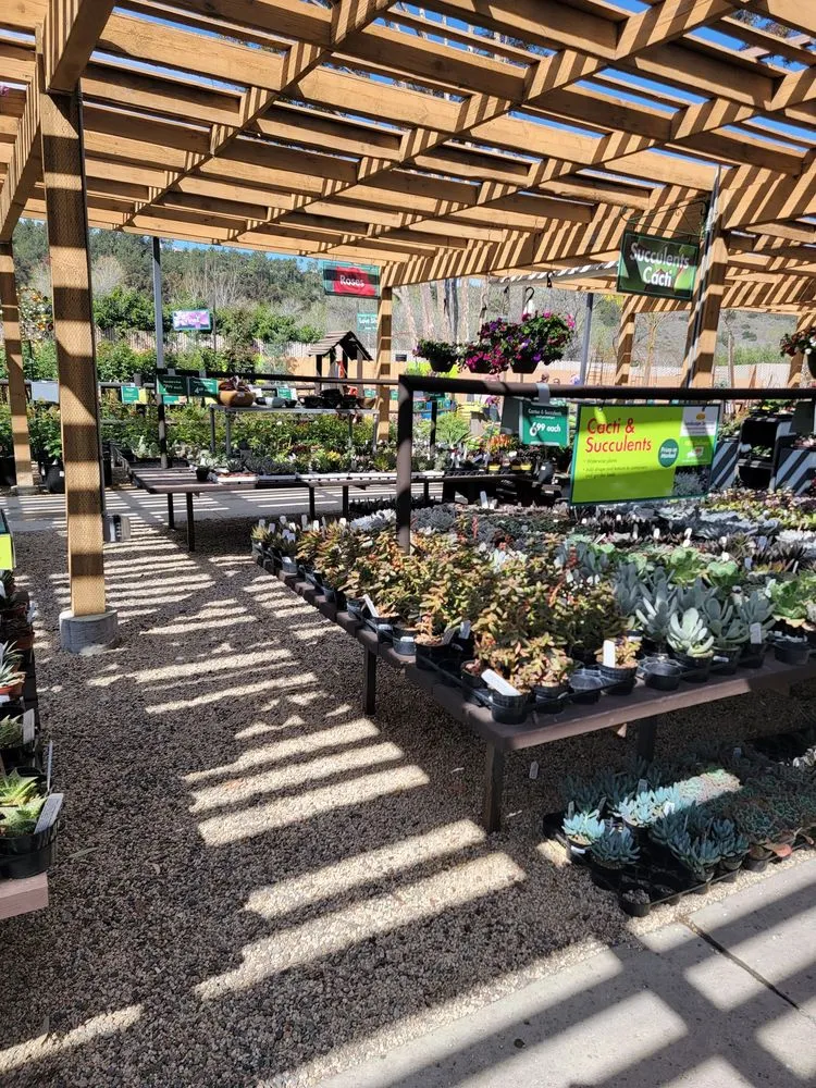 Custom landscape design in San Diego, CA by Armstrong Garden Centers