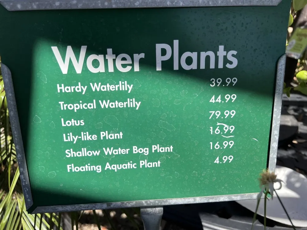 Local lawn mowing service experts serving San Diego, CA - Armstrong Garden Centers