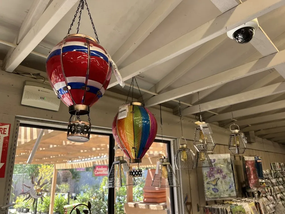 Custom landscape installation in San Diego, CA by Armstrong Garden Centers