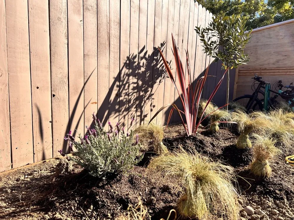 Custom lawn mowing service in San Diego, CA by Armstrong Garden Centers