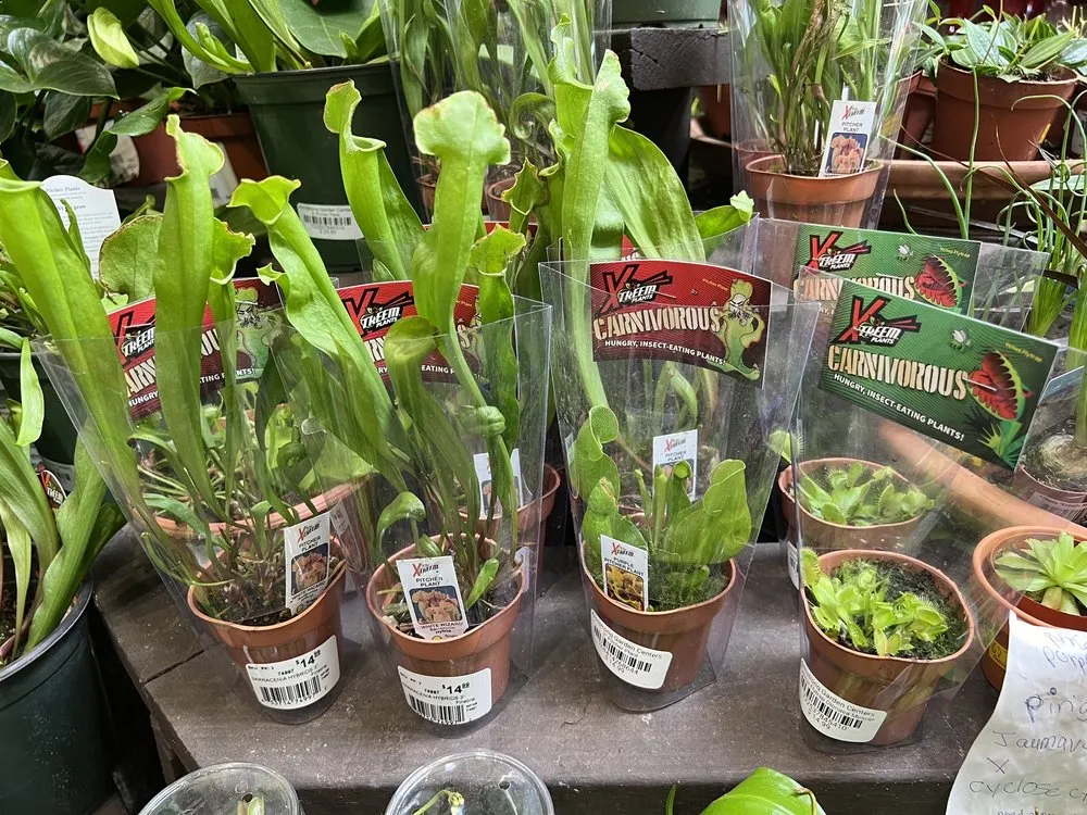 Affordable landscape installation in San Diego, CA by Armstrong Garden Centers