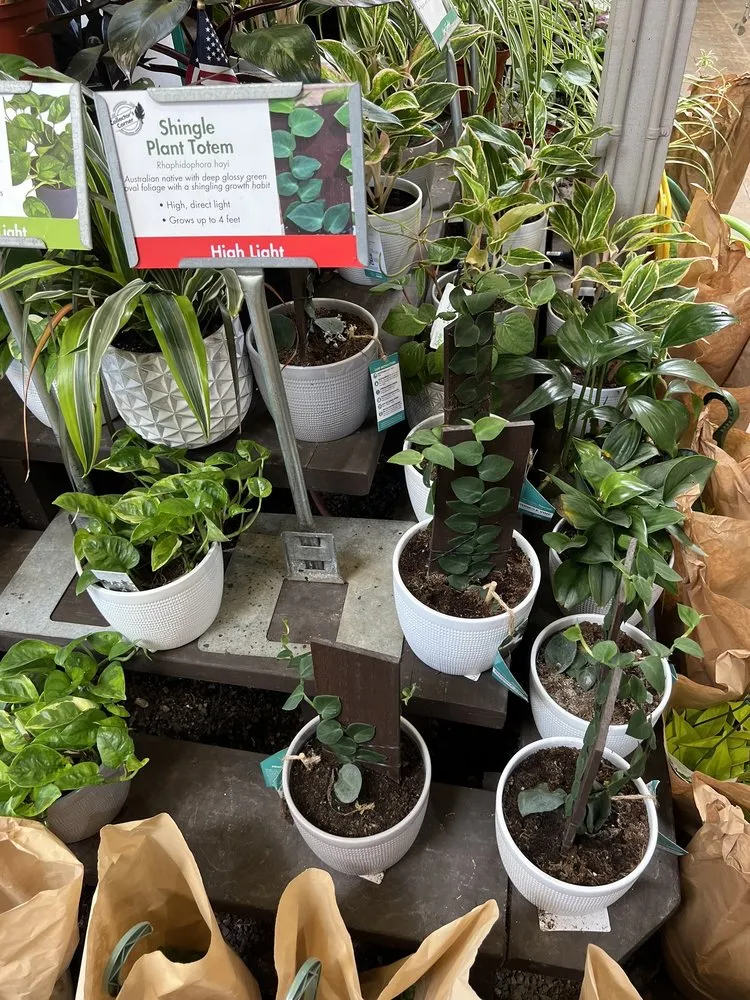 Professional lawn mowing service in San Diego, CA by Armstrong Garden Centers