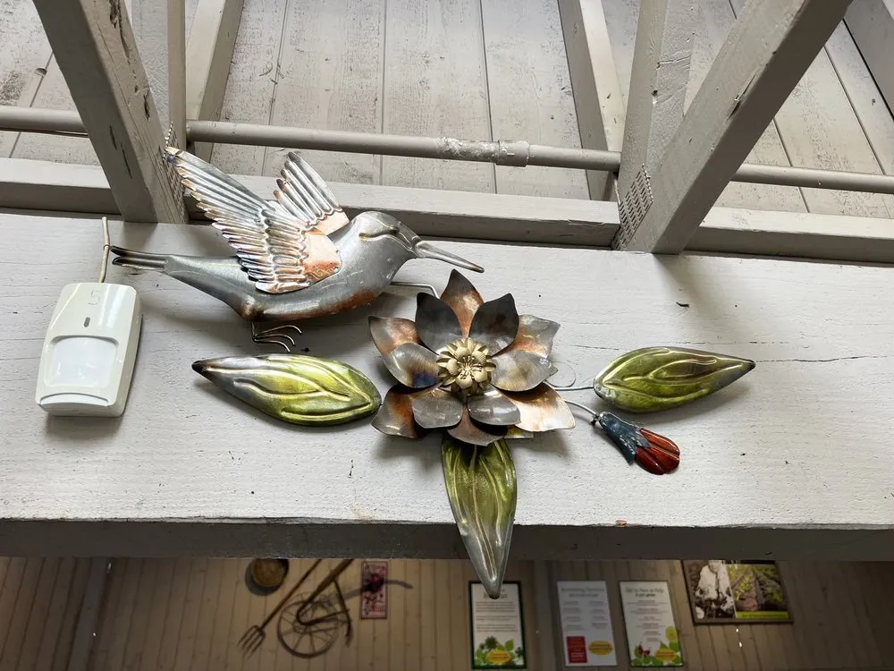 Affordable landscape design in San Diego, CA by Armstrong Garden Centers