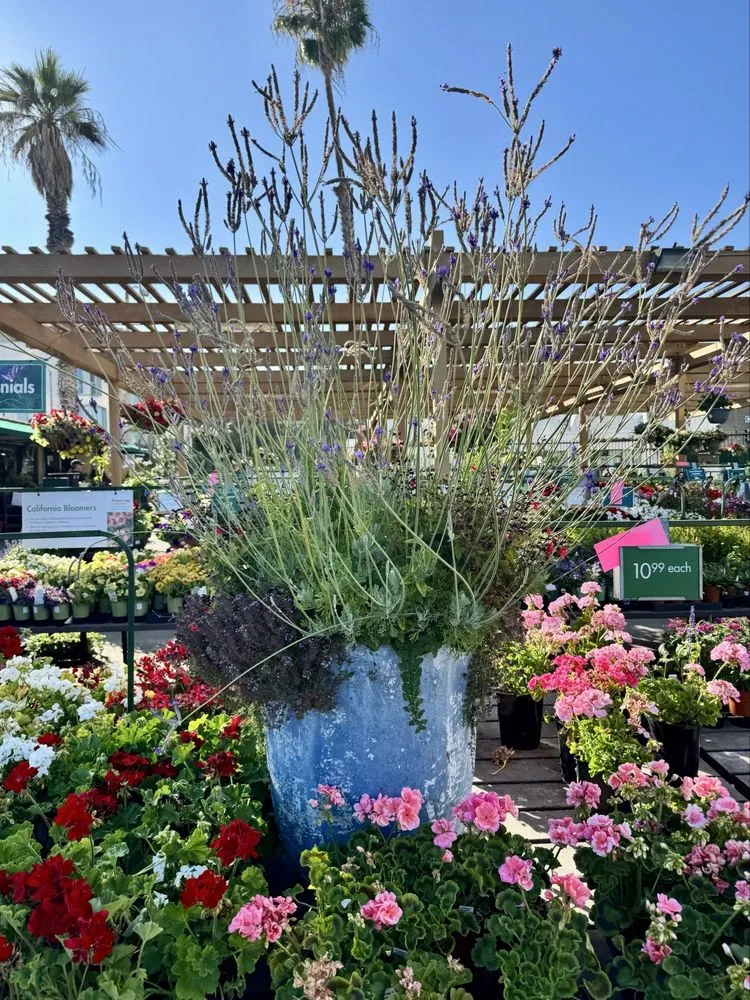 Trusted residential landscaping for residential properties across Santa Monica, CA - Armstrong Garden Centers