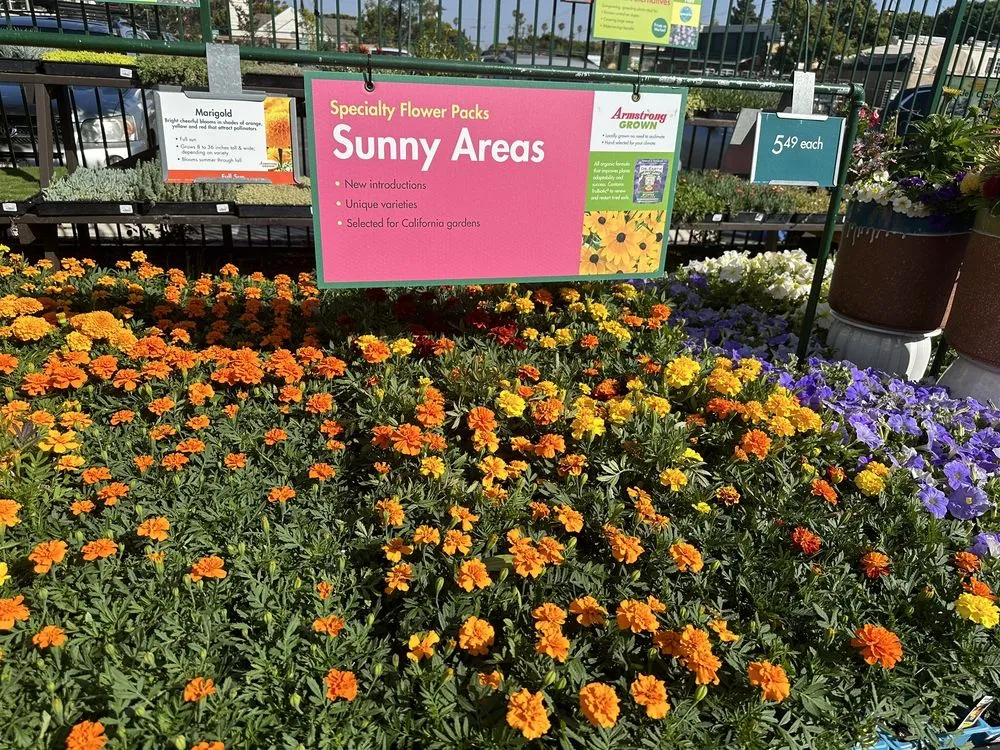 Professional yard cleanup service in Santa Monica, CA - Armstrong Garden Centers