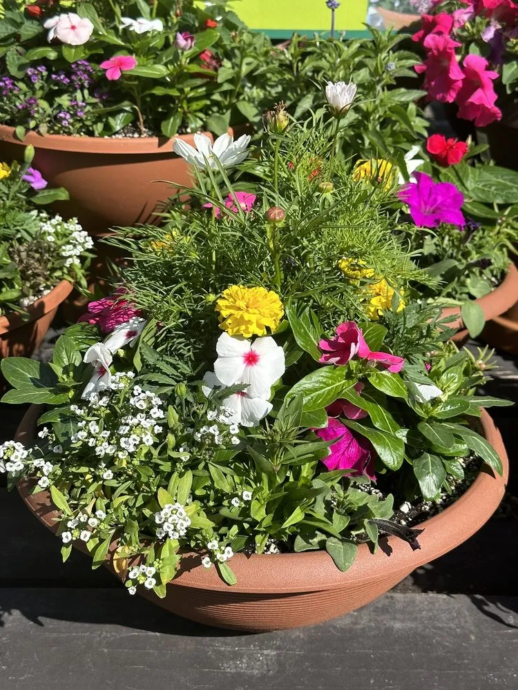 Professional lawn care service in Santa Monica, CA - Armstrong Garden Centers