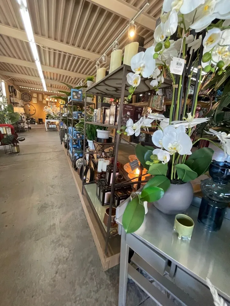 Professional lawn care service experts serving Santa Monica, CA - Armstrong Garden Centers