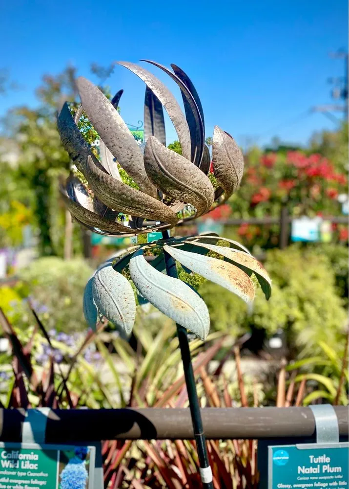 Affordable landscape design with custom design in Santa Monica, CA by Armstrong Garden Centers