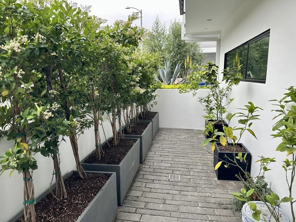 Top-rated yard maintenance with custom design in Sherman Oaks, CA by Armstrong Garden Centers