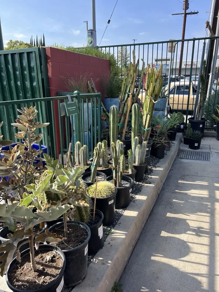 Expert garden landscaping in Sherman Oaks, CA by Armstrong Garden Centers