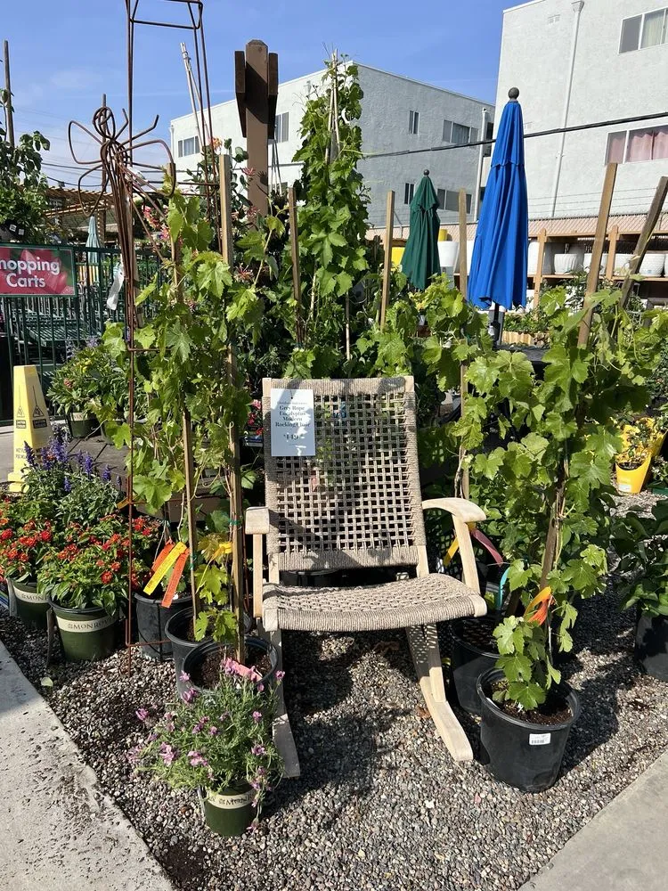 Affordable residential landscaping in Sherman Oaks, CA - Armstrong Garden Centers