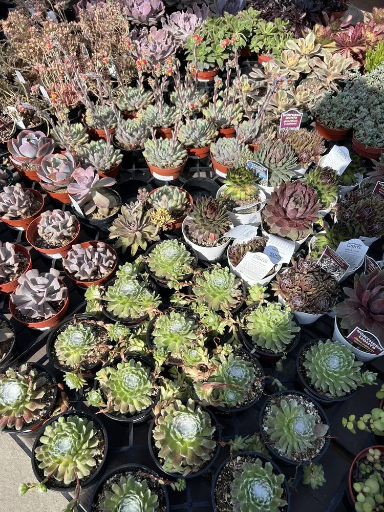 Affordable residential landscaping in Sherman Oaks, CA by Armstrong Garden Centers