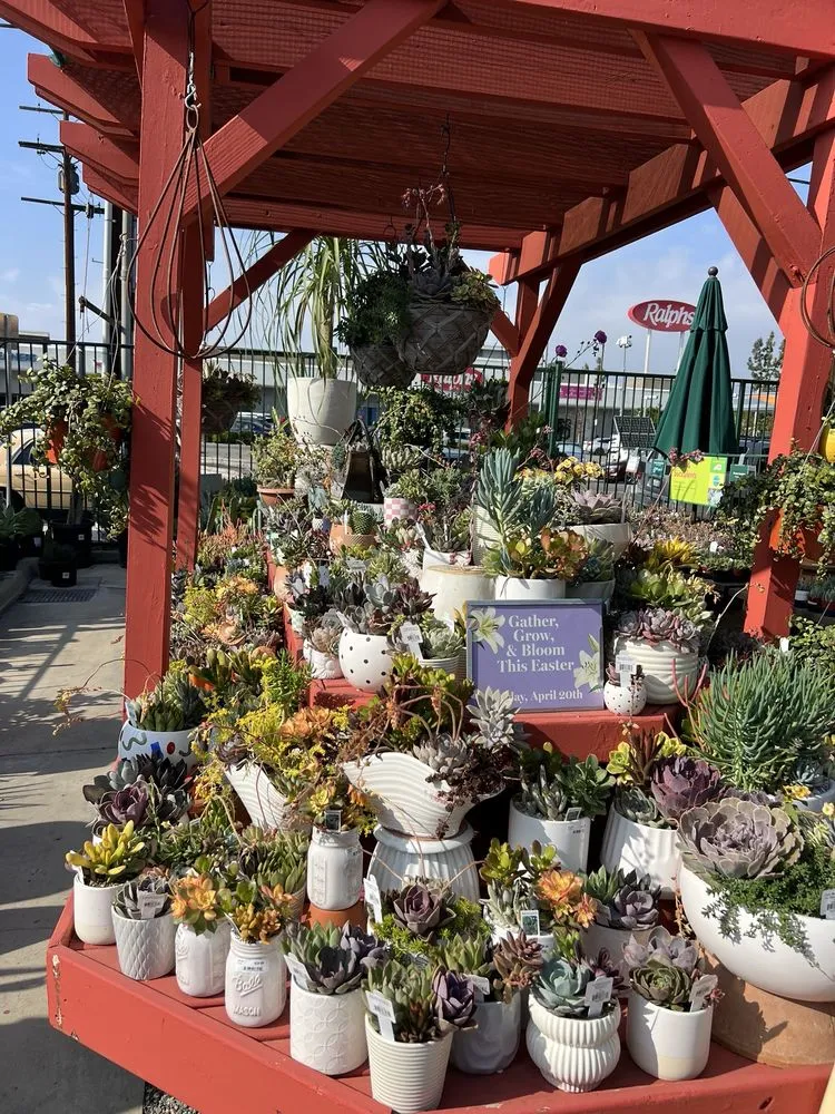 Custom landscaping services in Sherman Oaks, CA by Armstrong Garden Centers